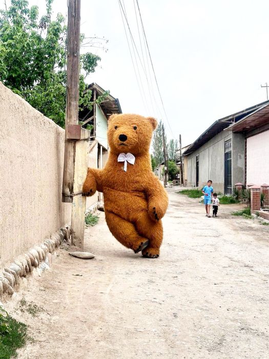 Ayiqlar va quyon sotiladi srochna 100$