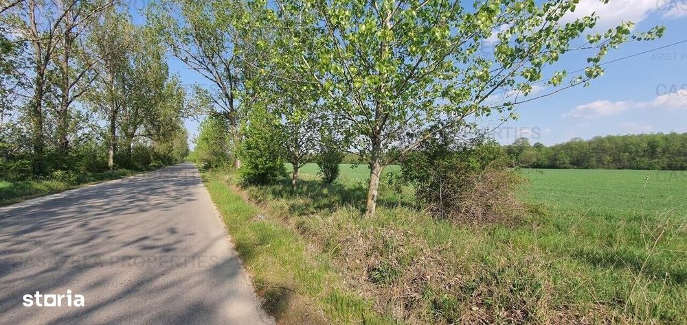 Terenuri intravilane in Racari, Colacu 10.000 + mp , Dambovita