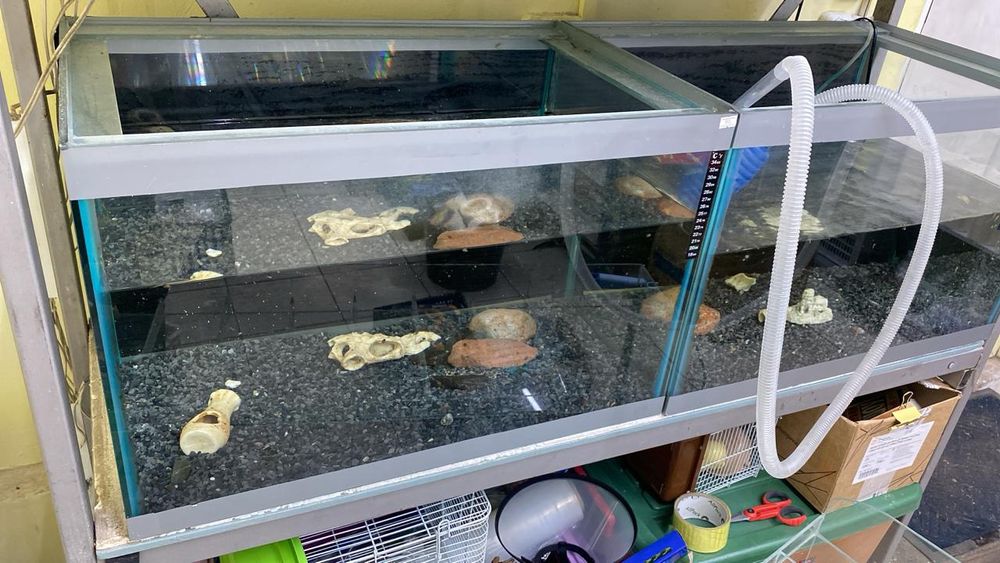 Продаются прочные качественые аквариумы