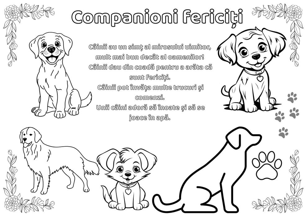 Dosar de colorat A4. - Color Quest - Varsta 4-8 ani, 96 de pagini.