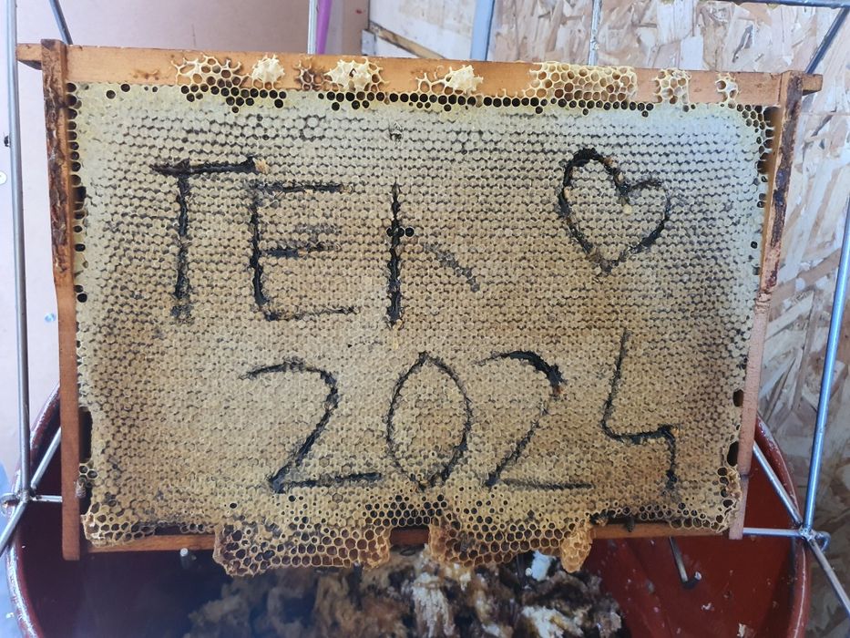 Vând miere de Tei angro la butoi de 300 kg..