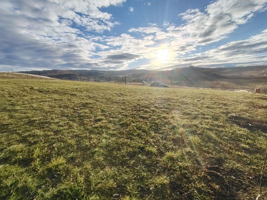Teren intravilan Cluj-Napoca, Sopor