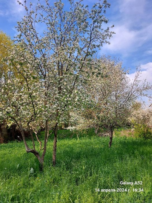 Продам зем.участок