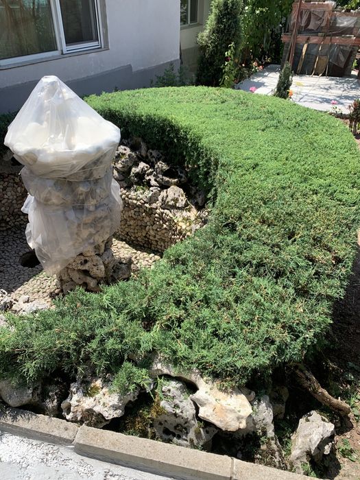 Рязане на дървета,косене на трева.