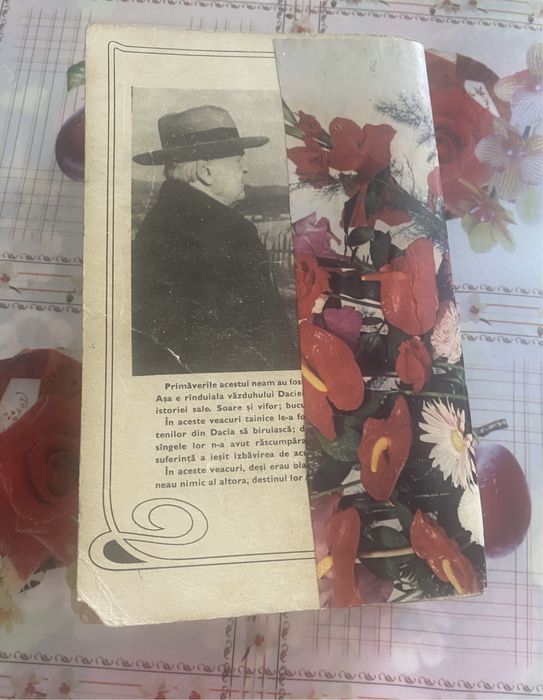 Mihail Sadoveanu-Frații Jderi, 1971, Ed. Minerva