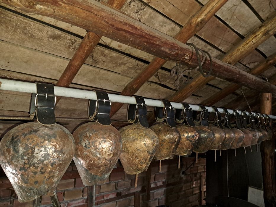 Хлопки. Чанове. Чан