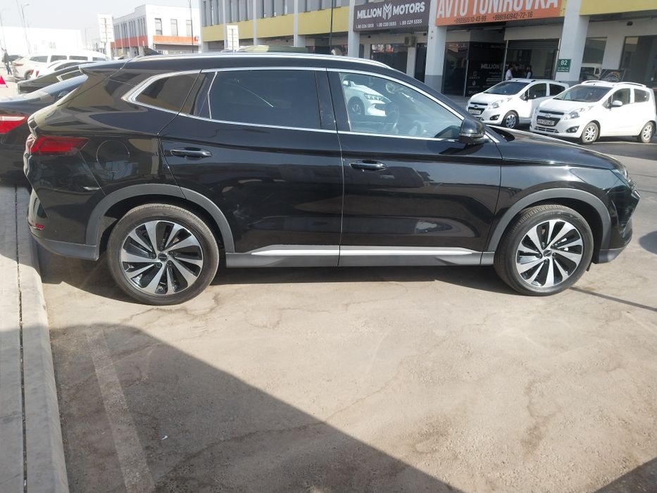 Byd chempion gibrid