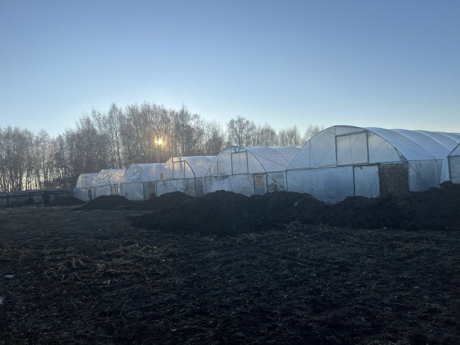 Продам тепличный комплекс