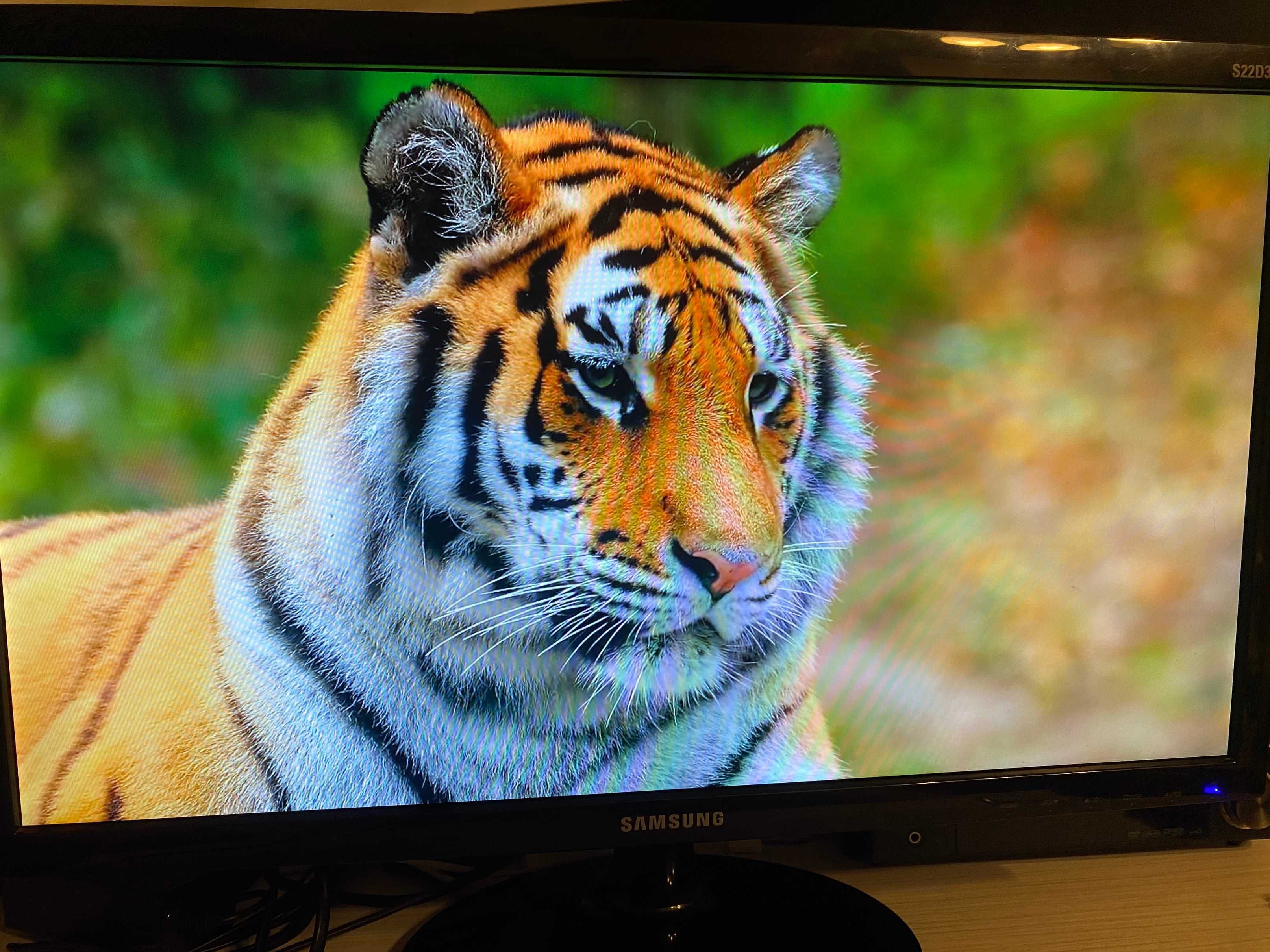 Monitor LED Samsung S22D300 22 Inch Full HD VGA HDMI 5 ms