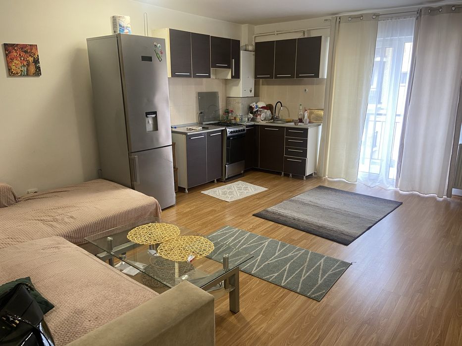 Vand apartament strada Plopilor( inainte de muzeul apei)