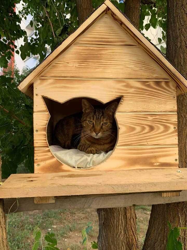Къща за коте - размери С и М - Колиба за котета,Къщичка за котки
