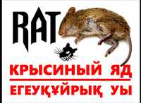 Уничтожение грызунов, крыс, мышей,  приманка, отрава от крыс