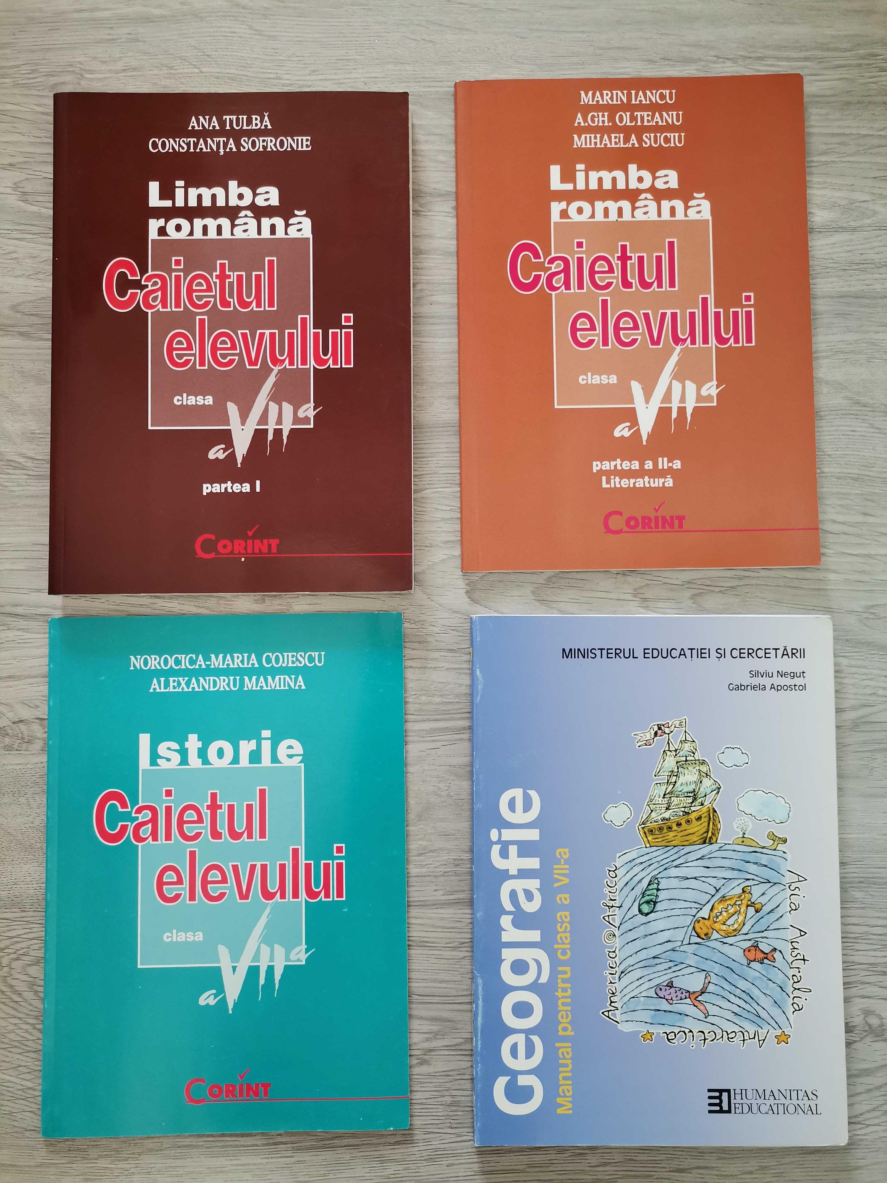 Diverse caiete, manuale pentru clasa a VII-a: Romana, Istorie, etc