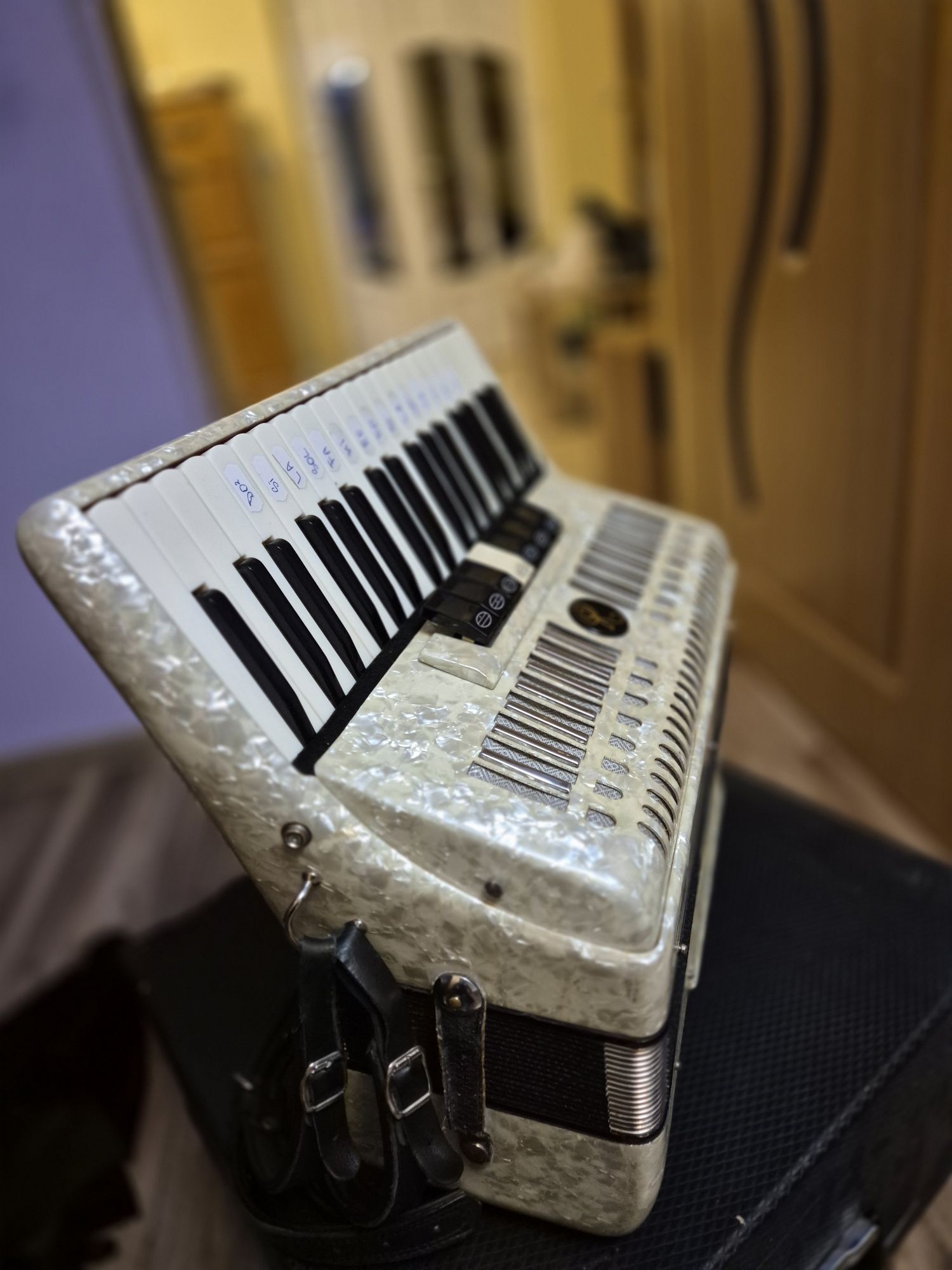 Vând acordeon italian [parrot, hohner, welmeister]