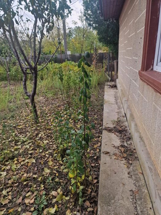 Casa batraneasca din caramida