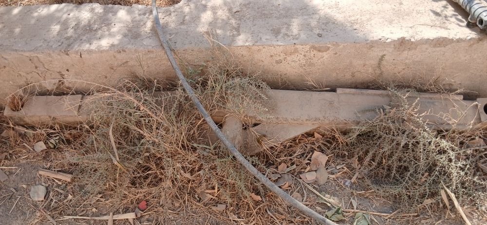 Yaguar 850 orga perdok