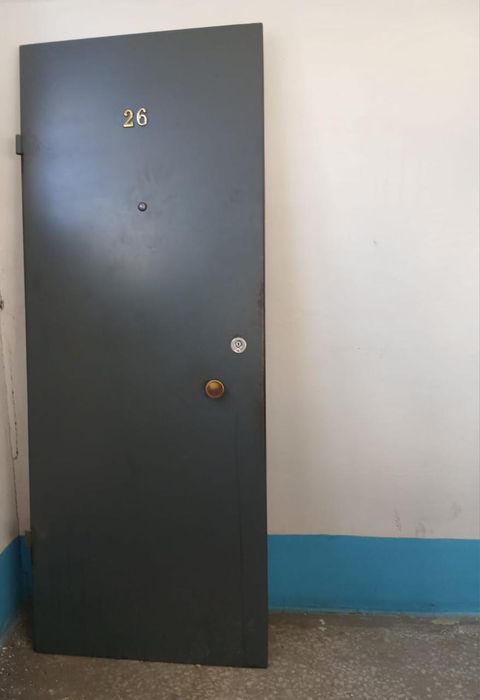 Железная входная дверь