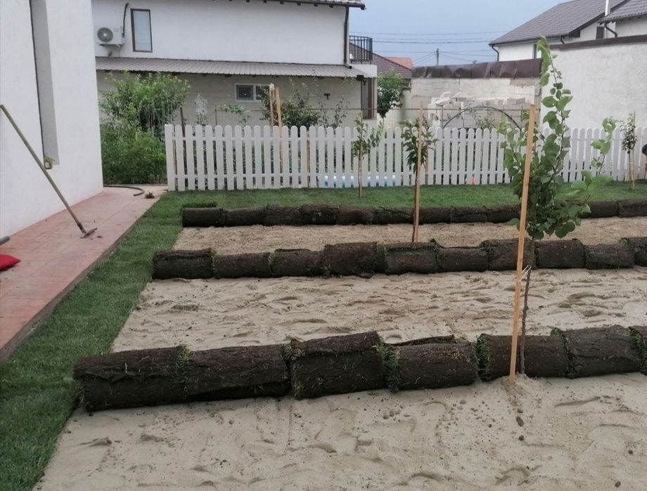 gazon rulou sport natural, 24 de lei m2 transport și montaj inclus .
