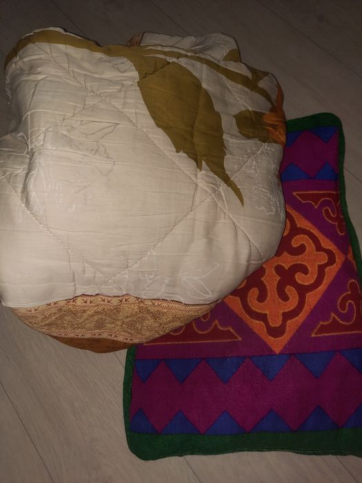 Одеяло и подушку отдам ты щя .
