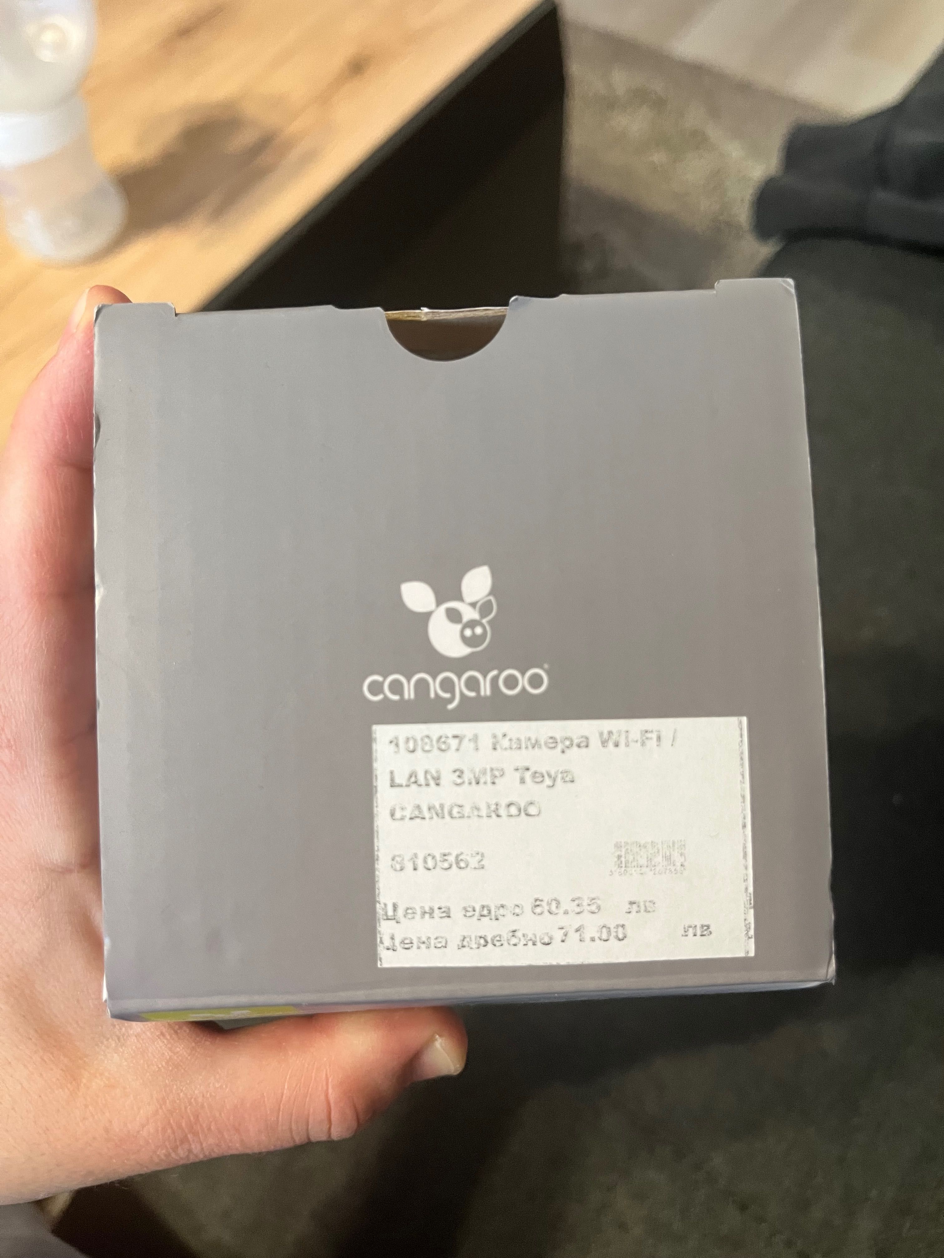 Камера Cangaroo wi-fi