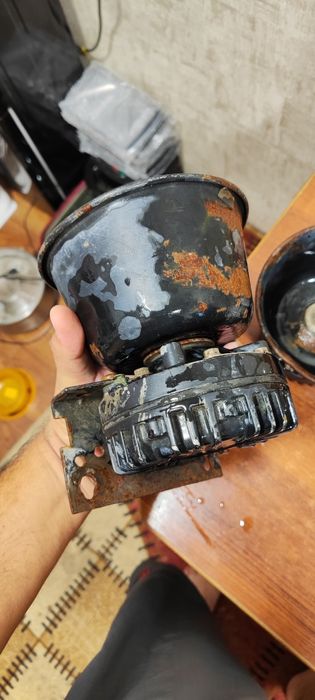 Serena karnay arginal