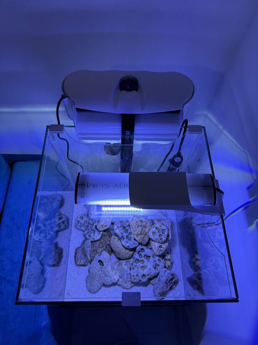 Acvariu Aquael Shrimp&Fish, impecabil, complet echipat!