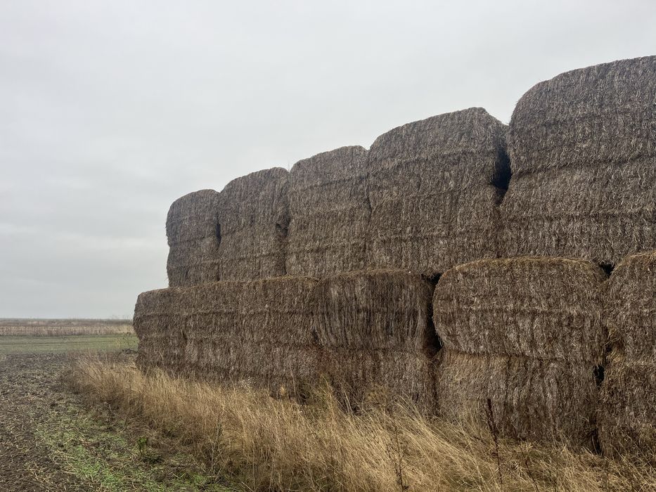 Vand baloti dreptunghiulari