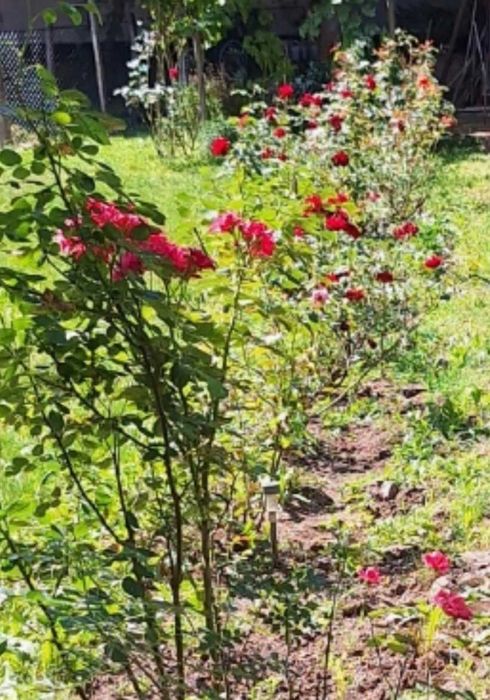 Квартира гр. Перник, Център