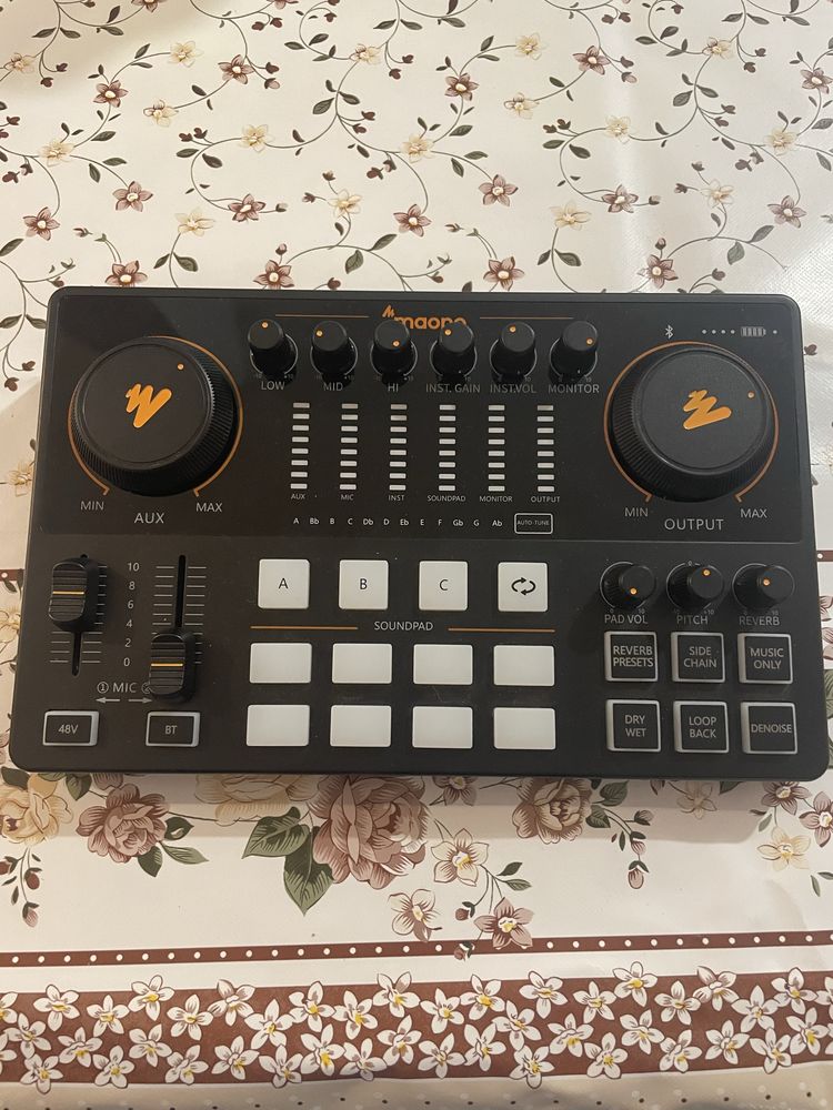 Interfata maonocaster 2