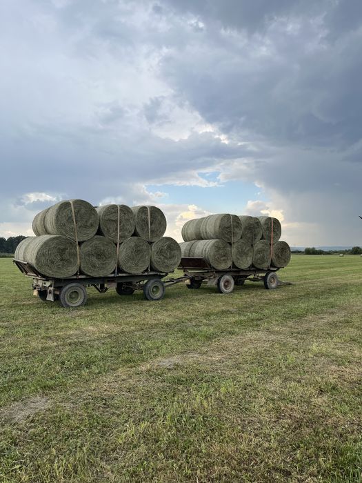 Vand baloti de fan , otava lucerna