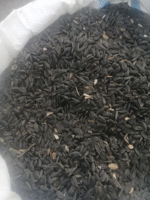 amestec și floare de vânzare