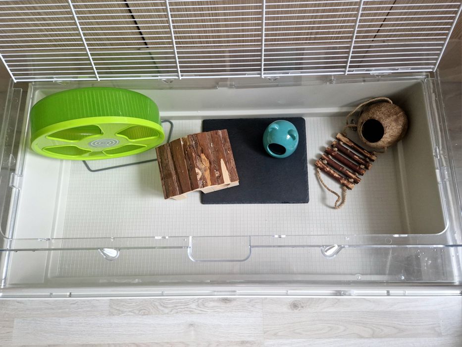 Cusca hamster/ porcusor de guineea/ cusca animalute