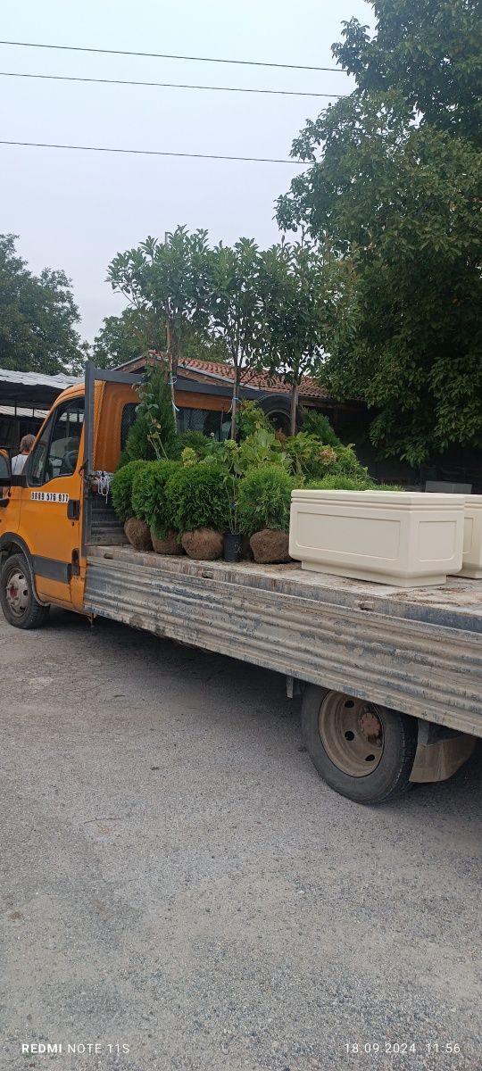 Транспортни услуги със Самосвал до 3,5тона