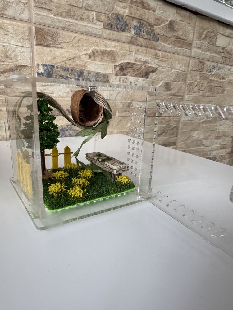 Small enclosure for insects or small reptile