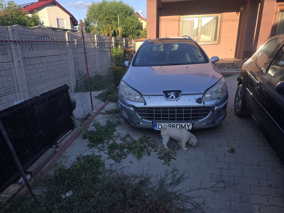 Peugeot 407 SW 2.2 HDI