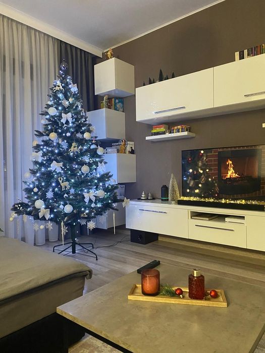 Brad de Crăciun toată zona cluj