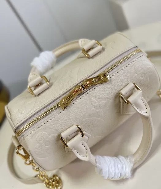 Louis Vuitton Speedy 20