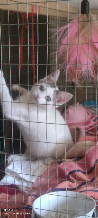 Срочно срочно срочно