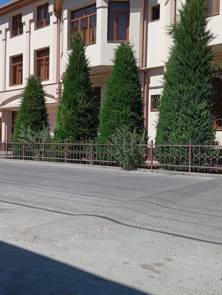 Assalomu alekum gazon ekish hizmatli lanshat