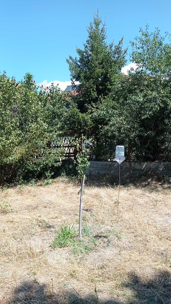 Продава се Парцел в с. Енина, Област Стара Загора - 605 кв.м за 59 €/кв.м - Снимка #4