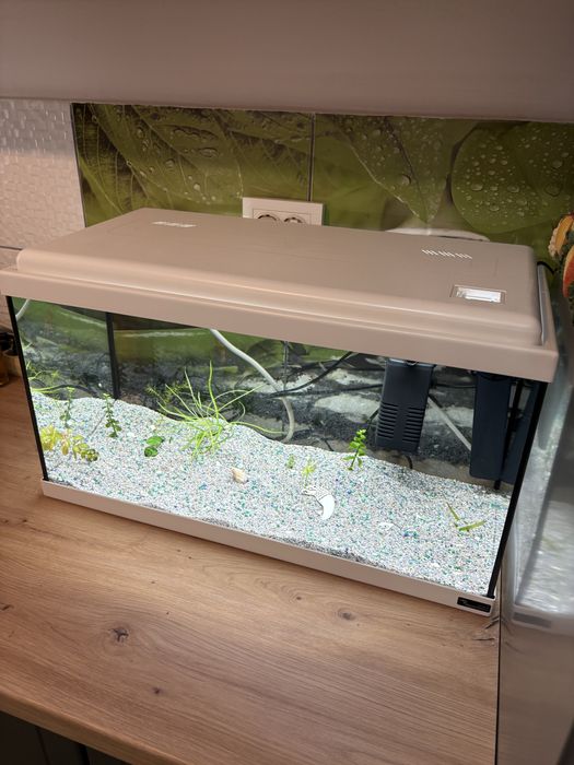 Vand Acvariu de 60 Litri Complect