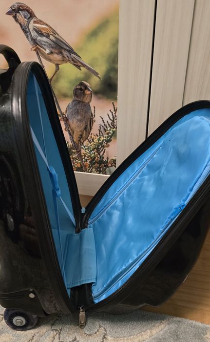 Troler copii (modele Pinguin si Trunki)