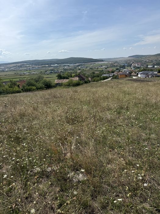 Vand teren intravilan 29 ari front 24 la drum comuna Hereclean