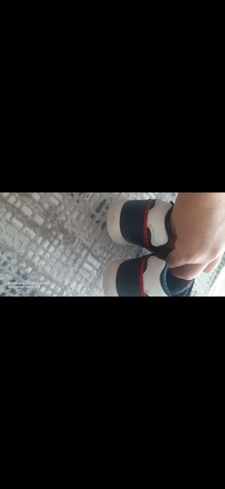 Geox 31       номер