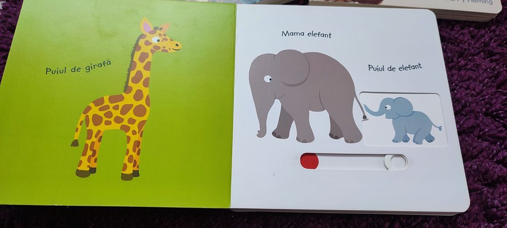 Set 3 Cărticele copii 12 luni +