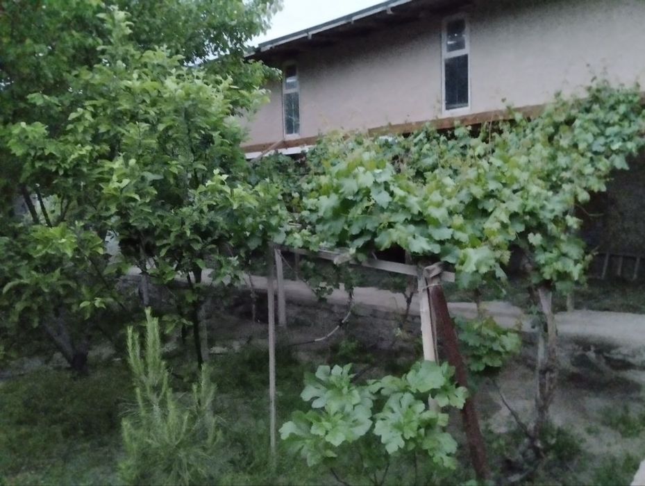 Кармана тум Ховли Сотилади