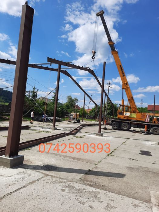 Vand hala metalică 8x25x4h