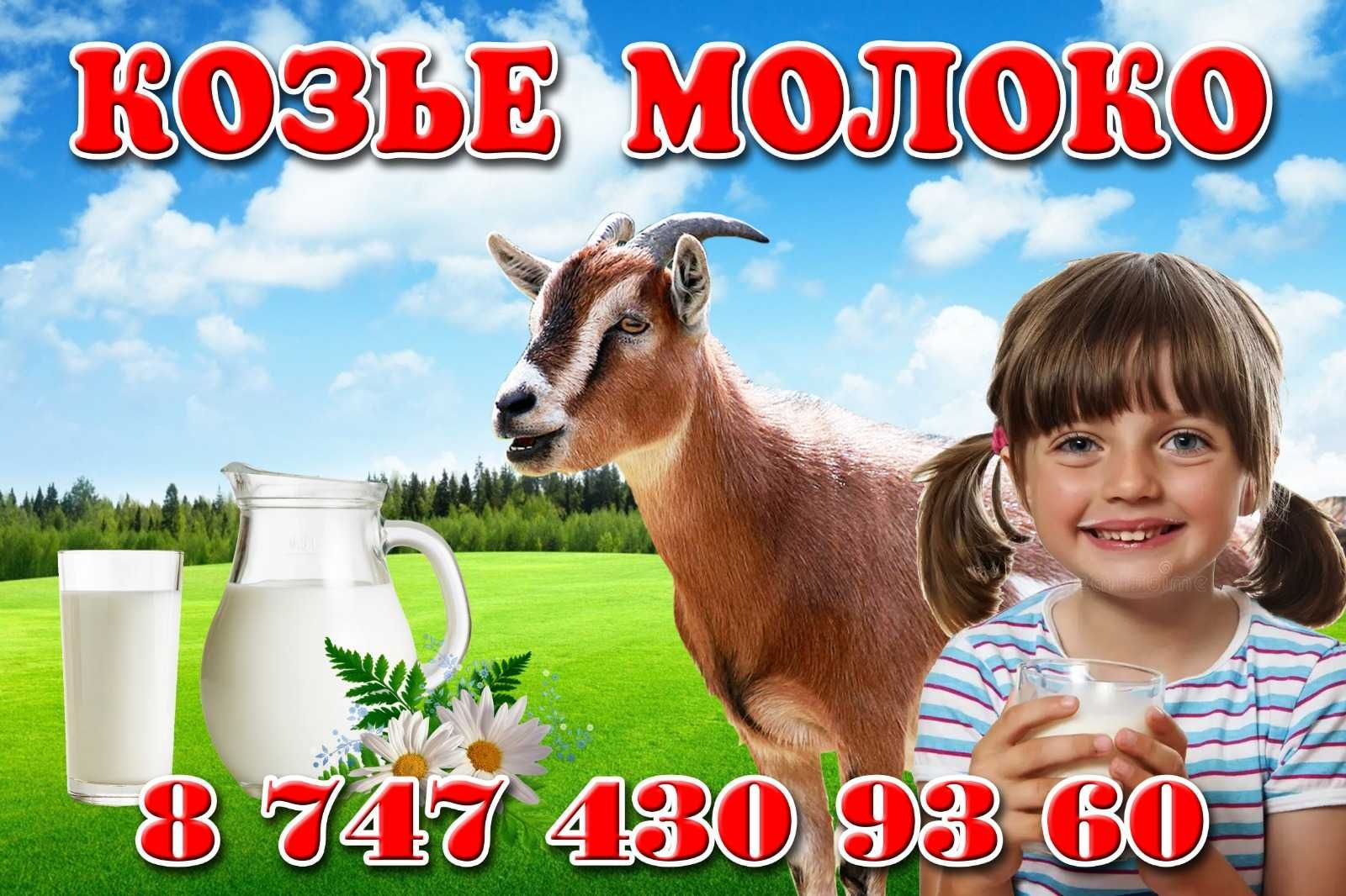 Продам домашнее Козье молоко