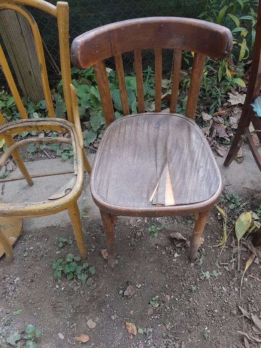 Donez două scaune vechi care necesită  reconditionare
