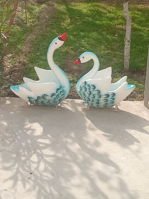 Laylakchalar ichiga gul ekiladi